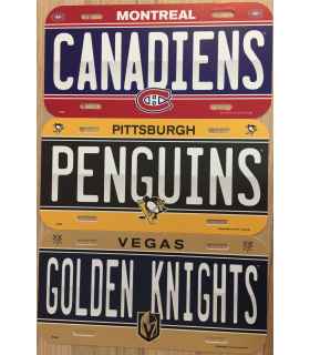 Plaque voiture décorative, logo NHL
