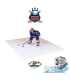 MINI PATINOIRE SYNTHETIQUE XTRAICE 2M x 2M