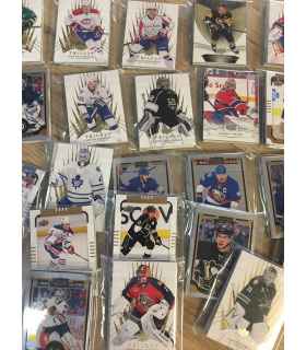 paquet surprise de 10 cartes NHL