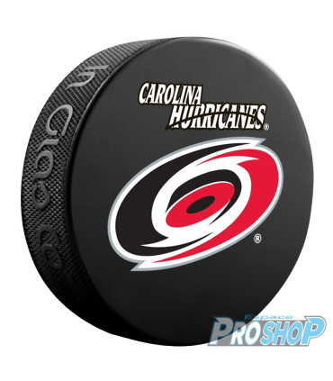 Palet NHL Logo base