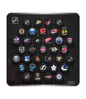 Plaque murale mini palets NHL