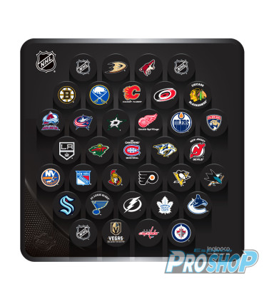 copy of Plaque mini palets Logo NHL
