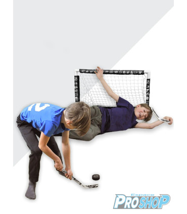 Mini crosse plastique gardien, logo NHL