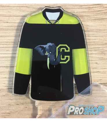 Souvenir Mini maillot personnalisé Espace ProShop