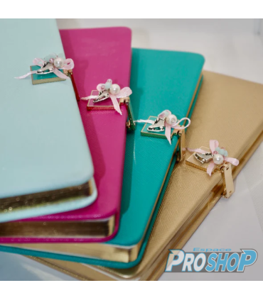 Cahier-journal 120 pages BRILLANCE & MELROSE