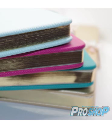 Cahier-journal 120 pages BRILLANCE & MELROSE