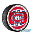 copy of Palet Logo NHL base