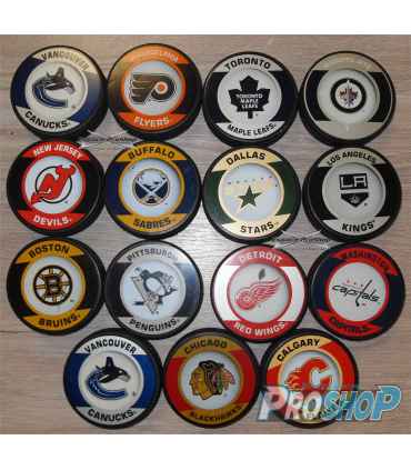 Palet Logo NHL ICE