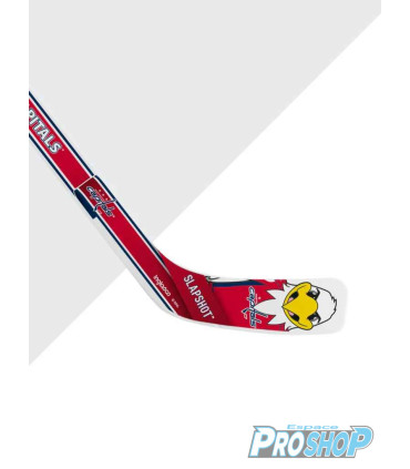 Mini crosse plastique MASCOTTE NHL WASHINGTON