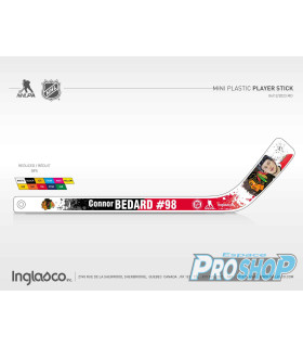 copy of Mini crosse plastique NHL Mc David
