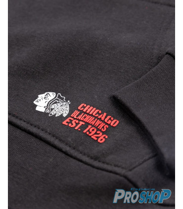 copy of Sweat capuche junior Prime Fleece hood BOSTON BRUINS