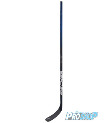 Monobloc Fischer RC ONE IS2 flex 85 courbe 92