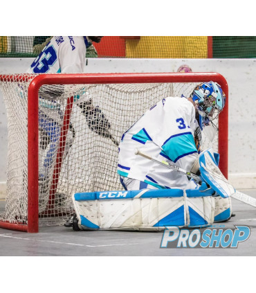 CAGES OFFICIELLES ROLLERS COMPLETES