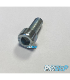Vis frein Roll Line pour Quad, unité