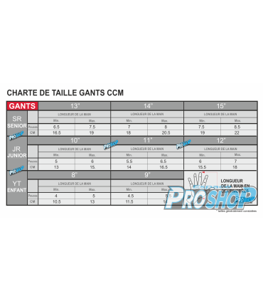 copy of Gants CCM JETSPEED FT6 PRO Senior