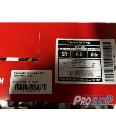 copy of COUDIERES BAUER ONE 6 SR L