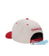 Casquette NHL Mitchell & Ness Retro Type Pro DETROIT RED WINGS