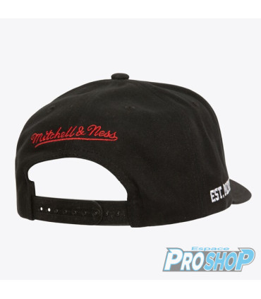 Casquette NHL Mitchell & Ness Big Time DETROIT RED WINGS